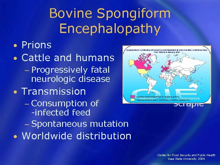 Bovine Spongiform Encephalopathy Prions • Cattle and humans • − Progressively fatal neurologic disease