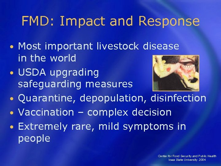 FMD: Impact and Response • • • Most important livestock disease in the world