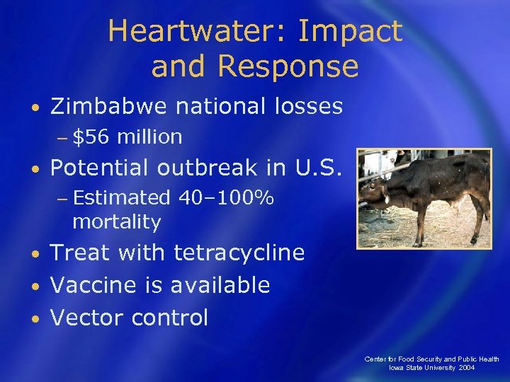 Heartwater: Impact and Response • Zimbabwe national losses − $56 • million Potential outbreak