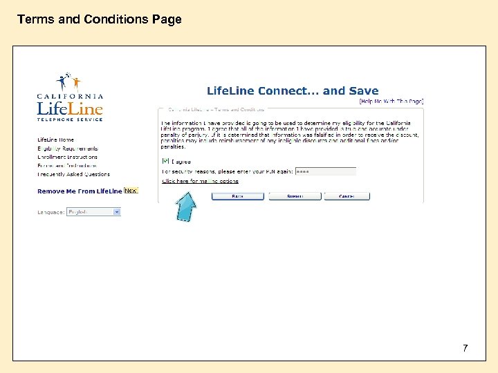 Terms and Conditions Page 7 