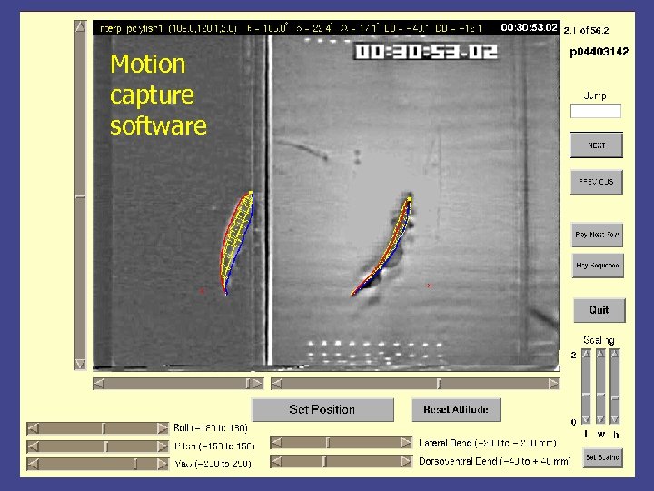 Motion capture software 