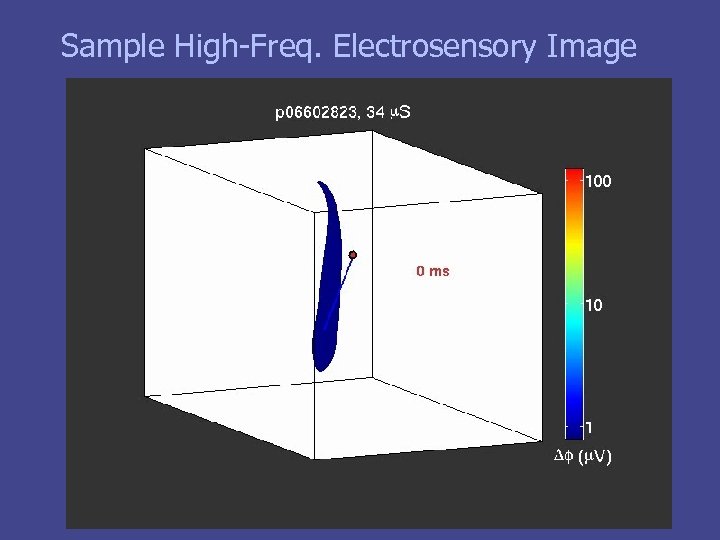 Sample High-Freq. Electrosensory Image 