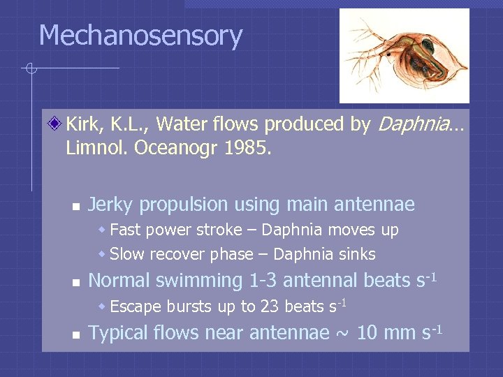 Mechanosensory Kirk, K. L. , Water flows produced by Daphnia… Limnol. Oceanogr 1985. n