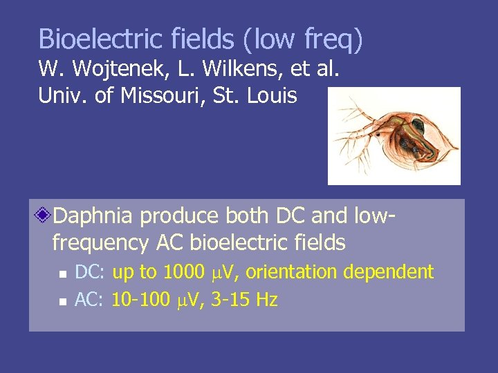 Bioelectric fields (low freq) W. Wojtenek, L. Wilkens, et al. Univ. of Missouri, St.