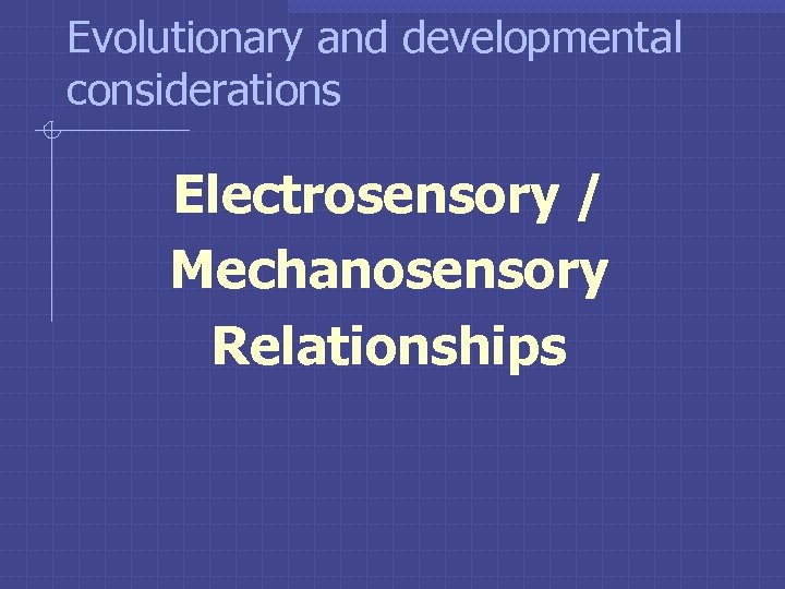 Evolutionary and developmental considerations Electrosensory / Mechanosensory Relationships 