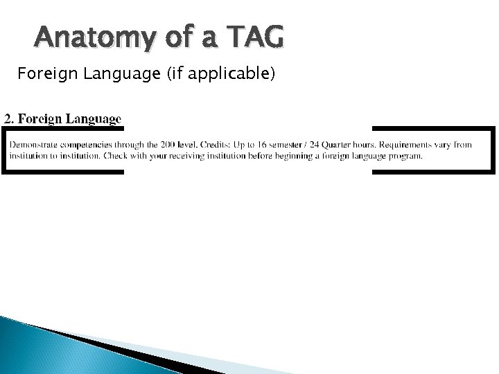 Anatomy of a TAG Foreign Language (if applicable) 