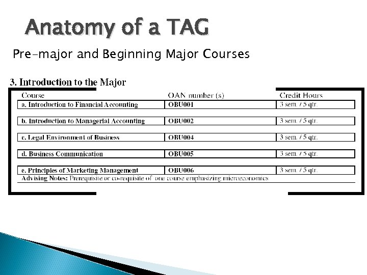 Anatomy of a TAG Pre-major and Beginning Major Courses 