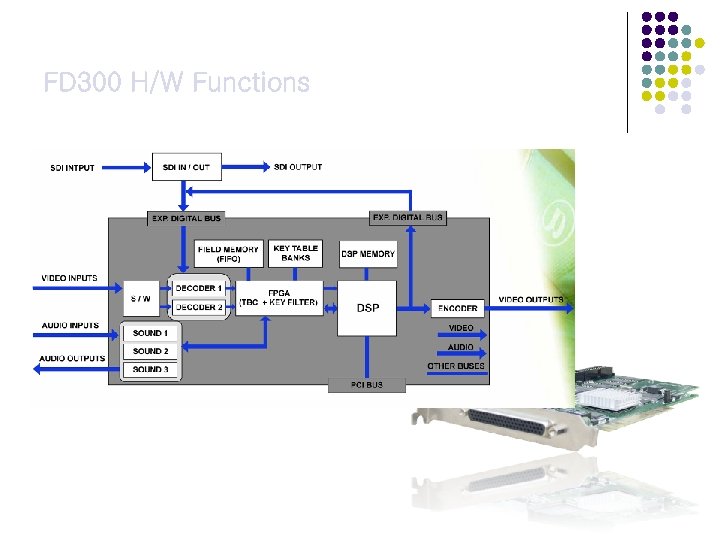 FD 300 H/W Functions DSP 