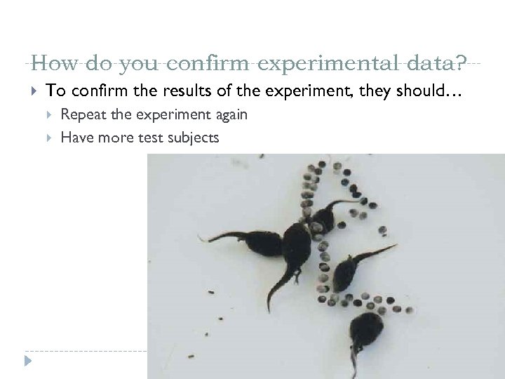 How do you confirm experimental data? To confirm the results of the experiment, they