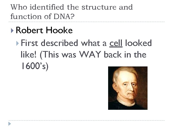 Who identified the structure and function of DNA? Robert Hooke First described what a