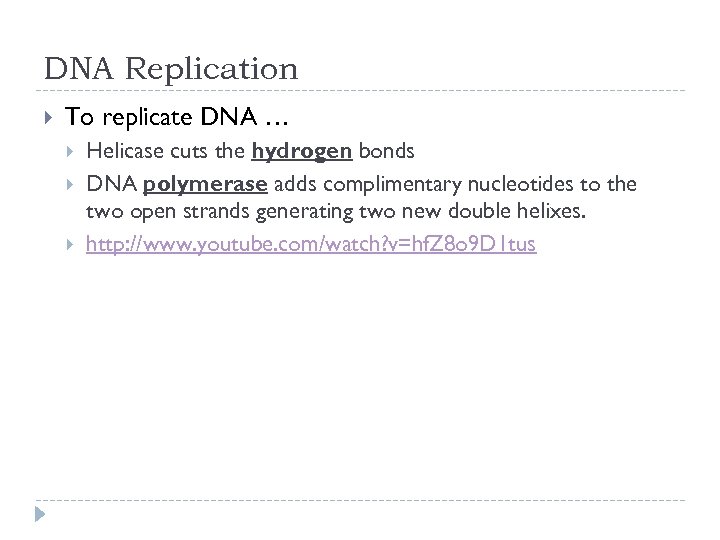 DNA Replication To replicate DNA … Helicase cuts the hydrogen bonds DNA polymerase adds
