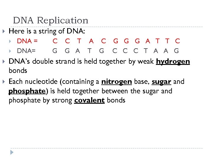DNA Replication Here is a string of DNA: DNA = DNA= C G C