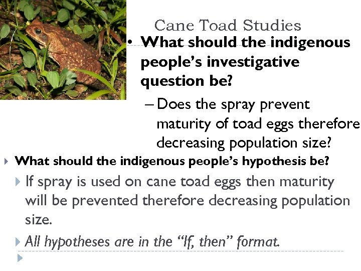 Cane Toad Studies • What should the indigenous people’s investigative question be? – Does