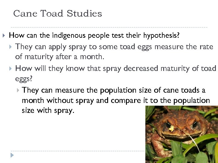 Cane Toad Studies How can the indigenous people test their hypothesis? They can apply