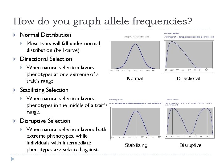 How do you graph allele frequencies? Normal Distribution Directional Selection When natural selection favors