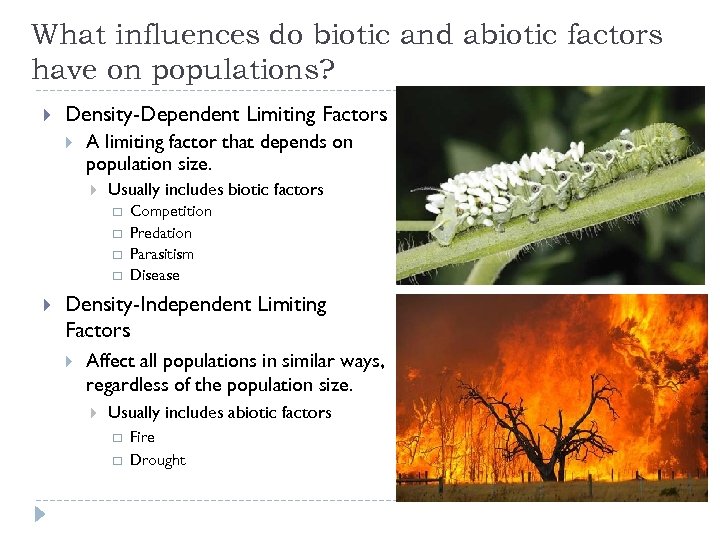 What influences do biotic and abiotic factors have on populations? Density-Dependent Limiting Factors A