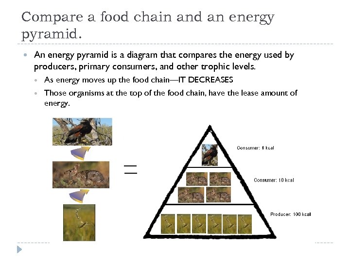 Compare a food chain and an energy pyramid. An energy pyramid is a diagram