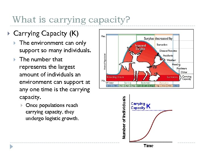 What is carrying capacity? Carrying Capacity (K) The environment can only support so many