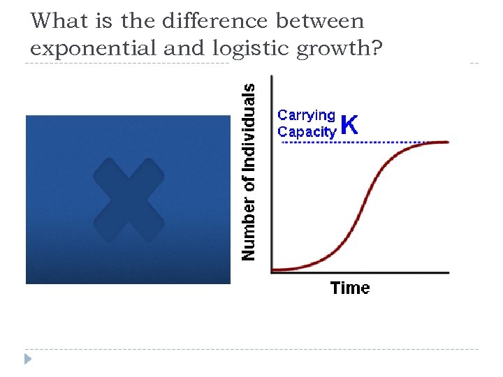 What is the difference between exponential and logistic growth? 