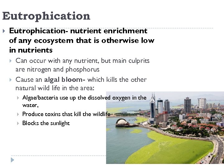 Eutrophication Eutrophication- nutrient enrichment of any ecosystem that is otherwise low in nutrients Can