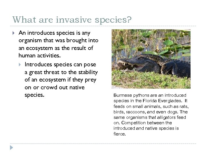 What are invasive species? An introduces species is any organism that was brought into