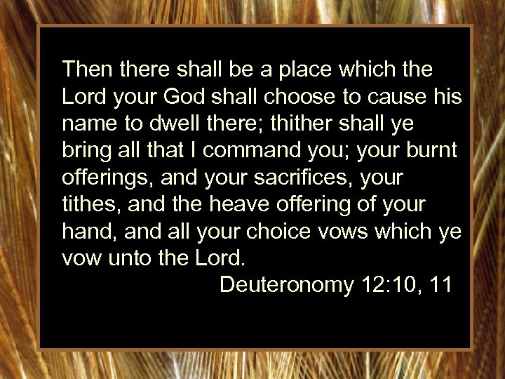  Then there shall be a place which the Lord your God shall choose