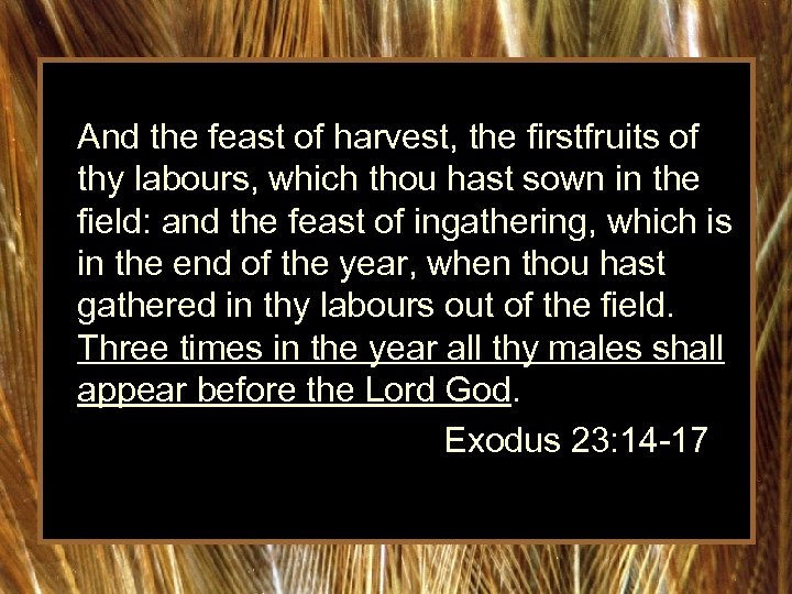  And the feast of harvest, the firstfruits of thy labours, which thou hast