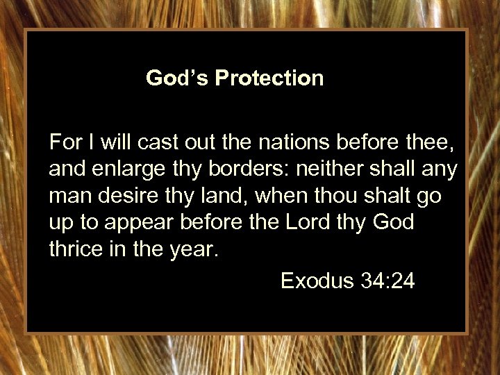 God’s Protection For I will cast out the nations before thee, and enlarge thy