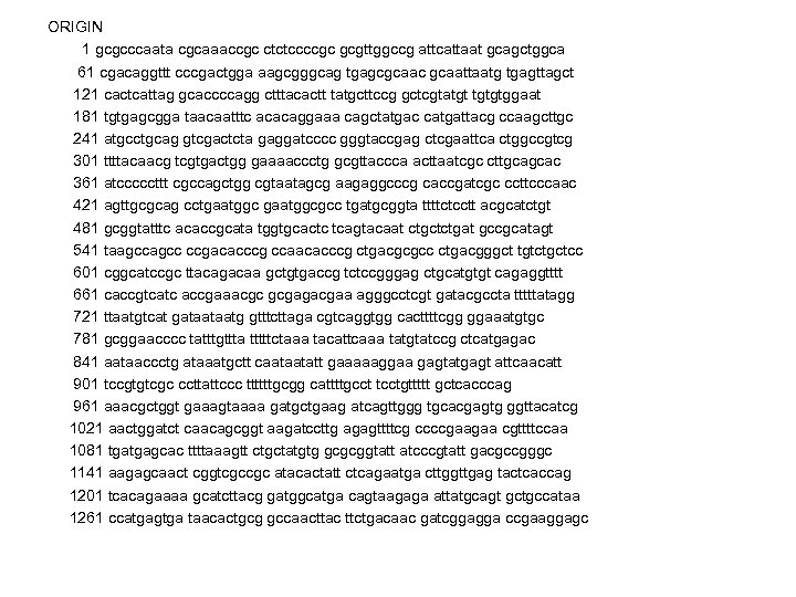 ORIGIN 1 gcgcccaata cgcaaaccgc ctctccccgc gcgttggccg attcattaat gcagctggca 61 cgacaggttt cccgactgga aagcgggcag tgagcgcaac gcaattaatg