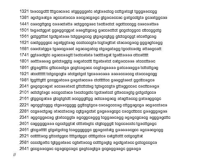  1321 taaccgcttt tttgcacaac atgggggatc atgtaactcg ccttgatcgt tgggaaccgg 1381 agctgaatga agccatacca aacgacgagc gtgacaccac gatgcctgta
