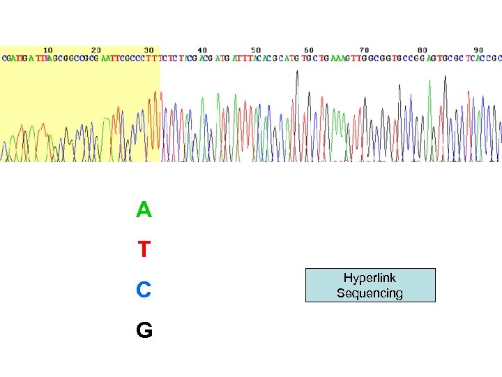A T C G Hyperlink Sequencing 