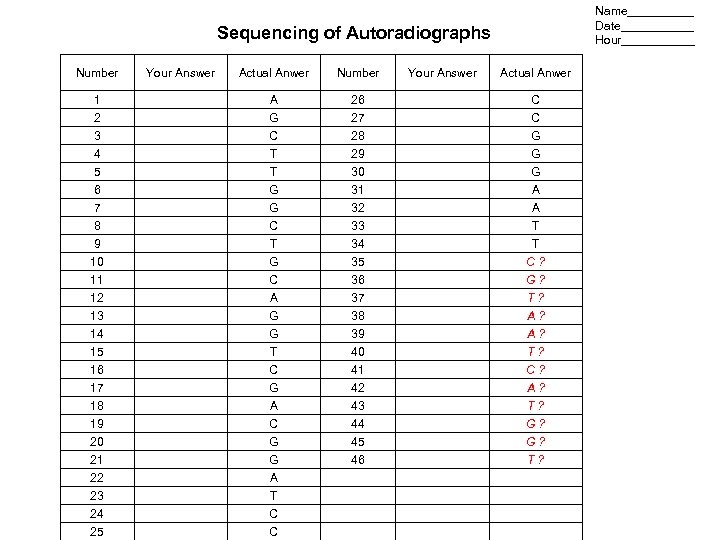 Name_____ Date______ Hour______ Sequencing of Autoradiographs Number Your Answer Actual Anwer 1 2 3