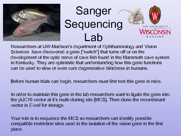 Sanger Sequencing Lab Researchers at UW-Madison’s department of Ophthanmology and Vision Sciences have discovered
