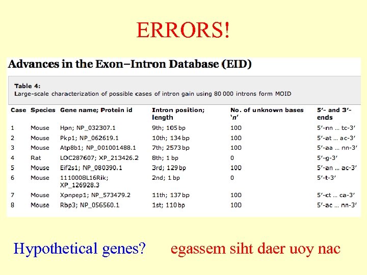 ERRORS! Hypothetical genes? egassem siht daer uoy nac 