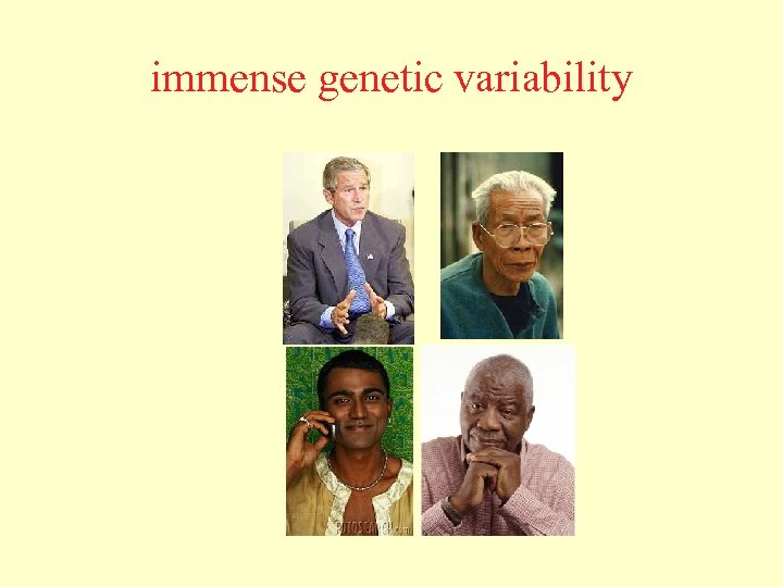 immense genetic variability 