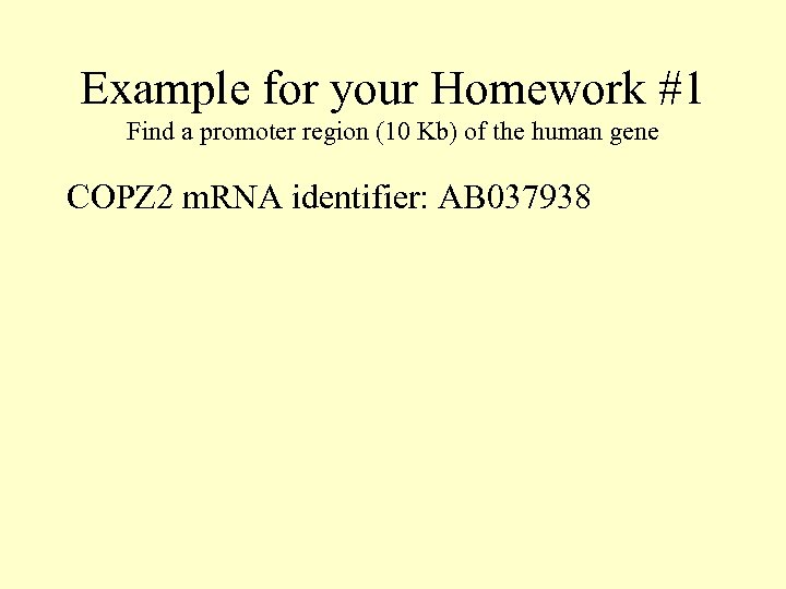 Example for your Homework #1 Find a promoter region (10 Kb) of the human