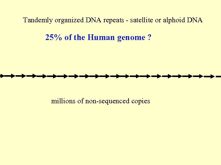 Tandemly organized DNA repeats - satellite or alphoid DNA 25% of the Human genome