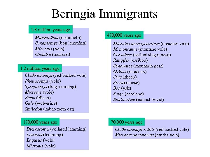 Beringia Immigrants 1. 8 million years ago Mammuthus (mammoth) Synaptomys (bog lemming) Microtus (vole)