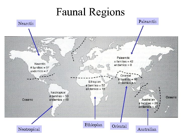 Faunal Regions Palearctic Neotropical Ethiopian Oriental Australian 