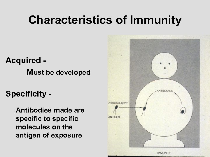 Characteristics of Immunity Acquired Must be developed Specificity Antibodies made are specific to specific