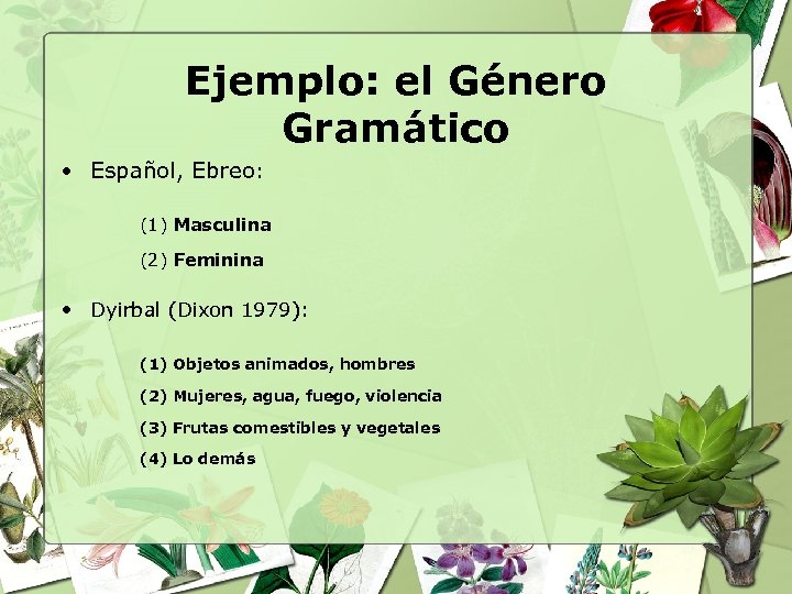 Ejemplo: el Género Gramático • Español, Ebreo: (1) Masculina (2) Feminina • Dyirbal (Dixon