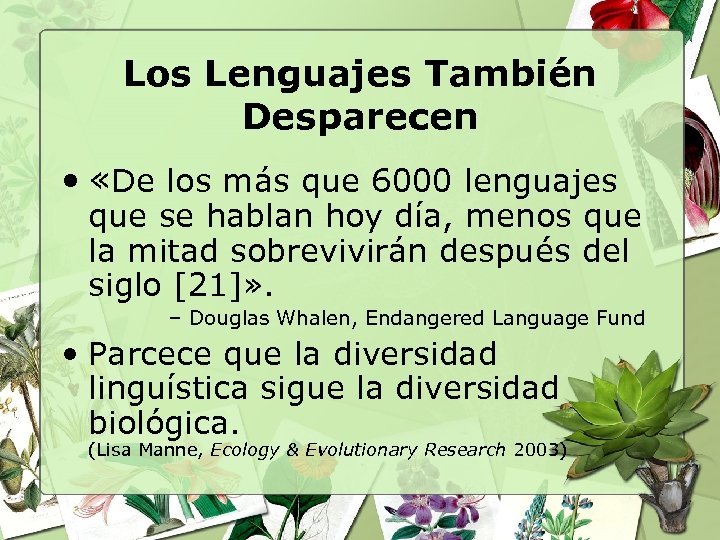 Los Lenguajes También Desparecen • «De los más que 6000 lenguajes que se hablan