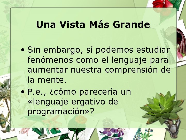 Una Vista Más Grande • Sin embargo, sí podemos estudiar fenómenos como el lenguaje