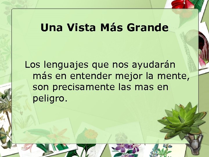Una Vista Más Grande Los lenguajes que nos ayudarán más en entender mejor la