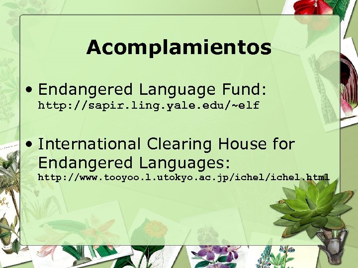 Acomplamientos • Endangered Language Fund: http: //sapir. ling. yale. edu/~elf • International Clearing House