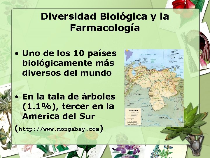 Diversidad Biológica y la Farmacología • Uno de los 10 países biológicamente más diversos