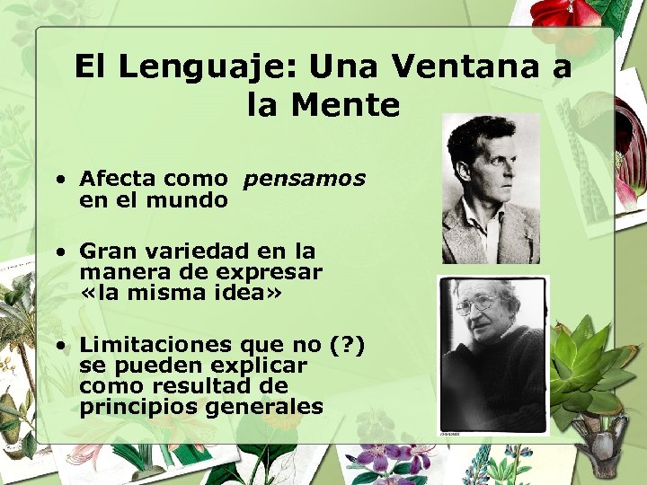 El Lenguaje: Una Ventana a la Mente • Afecta como pensamos en el mundo