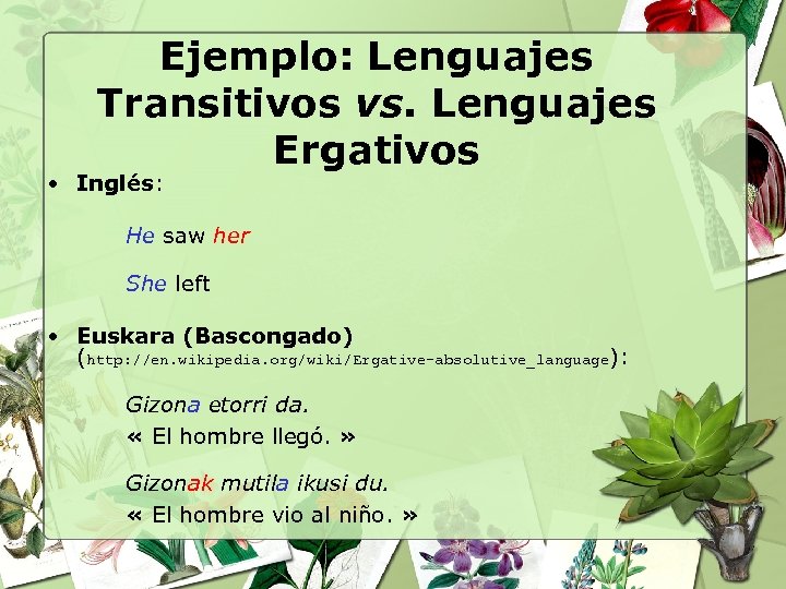 Ejemplo: Lenguajes Transitivos vs. Lenguajes Ergativos • Inglés: He saw her She left •