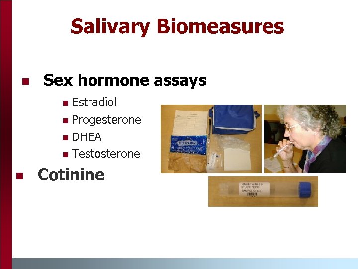 Salivary Biomeasures n Sex hormone assays n Estradiol n Progesterone n DHEA n Testosterone