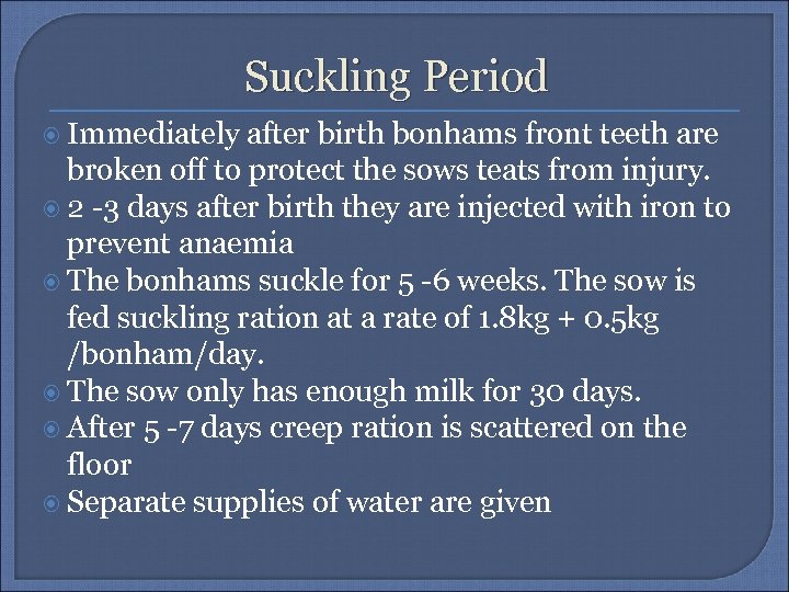 Suckling Period Immediately after birth bonhams front teeth are broken off to protect the